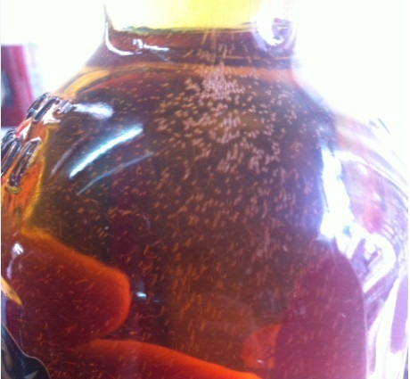 cach-nhan-biet-chivas12-that-2