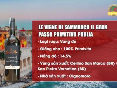 IL Gran Passo Primitivo Puglia – Niềm tự hào của rượu Vang Ý