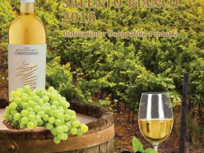 Khám phá rượu vang Chardonnay Salento Bianco 2016