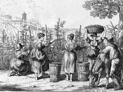 Lịch sử huy hoàng của rượu vang Ý