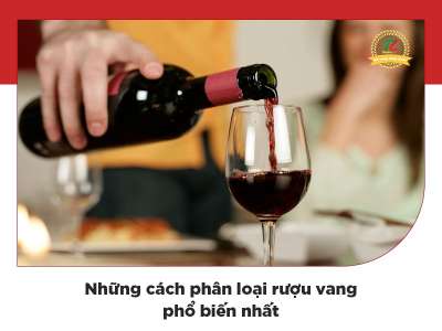 Những cách phân loại rượu vang phổ biến nhất hiện nay