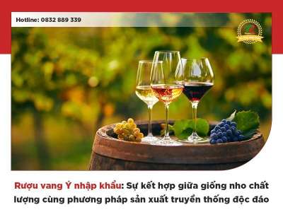 Rượu vang nhập khẩu Italia: Từ vườn nho đến ly rượu đẳng cấp