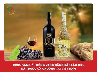 Rượu vang Ý - Loại rượu đẳng cấp thế giới được ưa chuộng hàng đầu Việt Nam