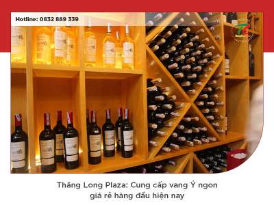 Thăng Long Plaza: Cung cấp vang Ý ngon giá rẻ hàng đầu hiện nay