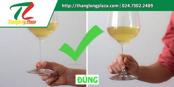 thuong thuc ruou vang dung cach