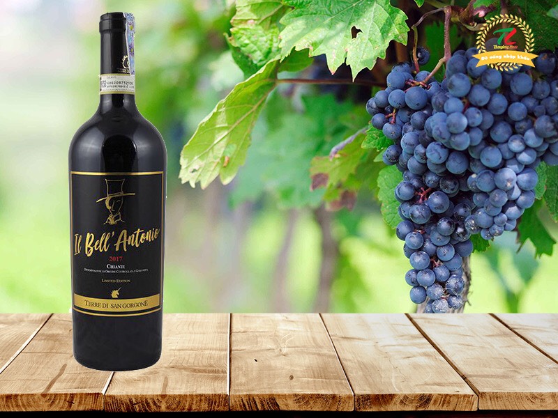 chianti niem kieu hanh xu tuscany xinh dep 2