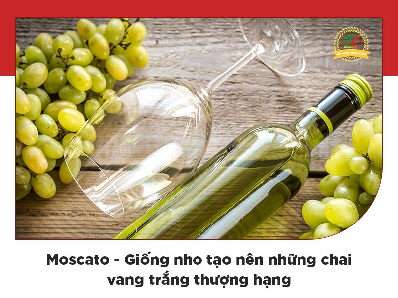 moscato giong nho tao nen nhung chai vang trang thom ngon quyen ru