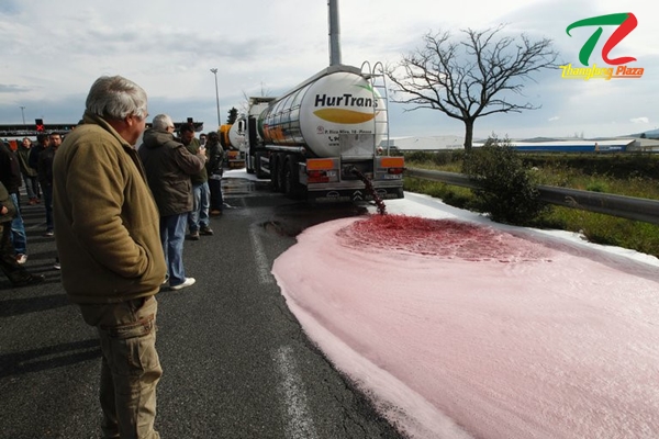 nganh ruou vang can co su canh tranh cong bang