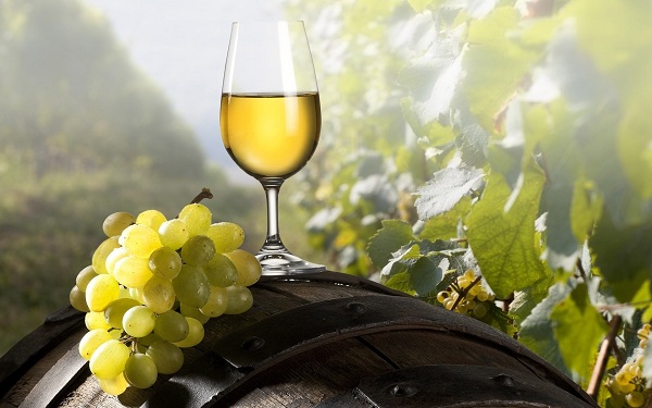 nho chardonnay 2