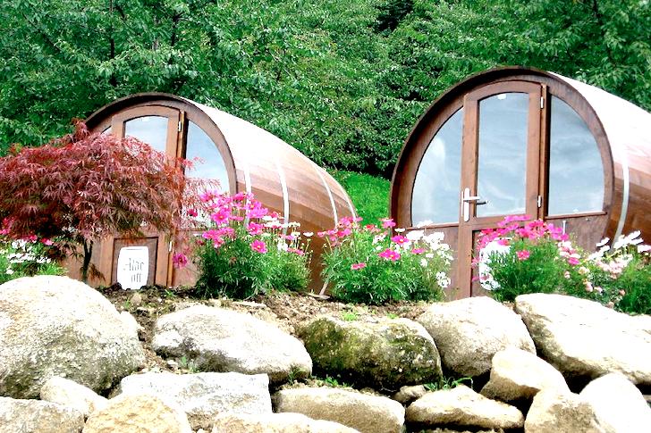 phong homestay bang thung ruou vang