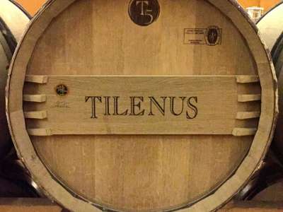 Tilenus Pagos de Posada 2006 – Phức tạp nhưng đầy tinh tế