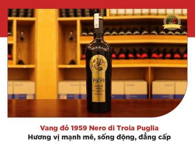 Vang đỏ 1959 Nero di Troia Puglia: Mạnh mẽ, sống động, đẳng cấp 