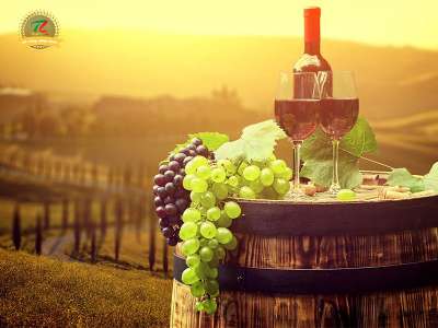 Chianti - Niềm kiêu hãnh xứ Tuscany xinh đẹp