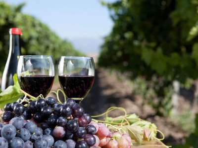 Kiến thức cơ bản về rượu vang Ý bạn cần biết