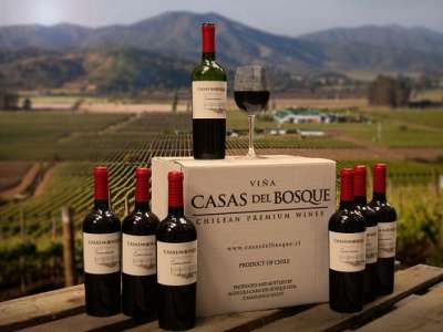 Lịch sử 500 năm của thương hiệu rượu vang Chi Lê