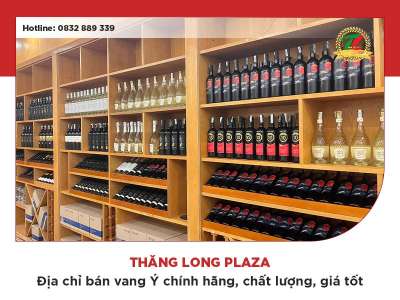 Mua rượu vang Ý ở đâu đảm bảo chất lượng, chính hãng?