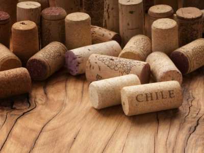 Rượu vang Chile nhập khẩu chính hãng, chất lượng tốt nhất từ Thăng Long Plaza