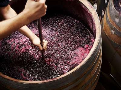 Tannin là gì? Yếu tố nào quyết định tới hàm lượng tannin trong rượu vang?