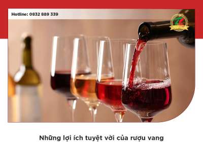 Tổng hợp thông tin về tác dụng của rượu vang mà bạn nên biết
