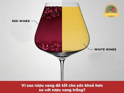 Vì sao rượu vang đỏ là thức uống có lợi cho sức khỏe? 