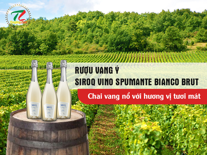 ruou vang y siroq vino spumante bianco brut 4