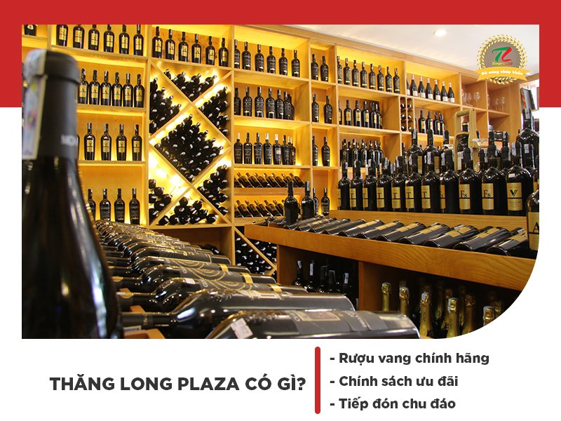 thang long plaza kho vang y lon hang dau den tu ha noi 4