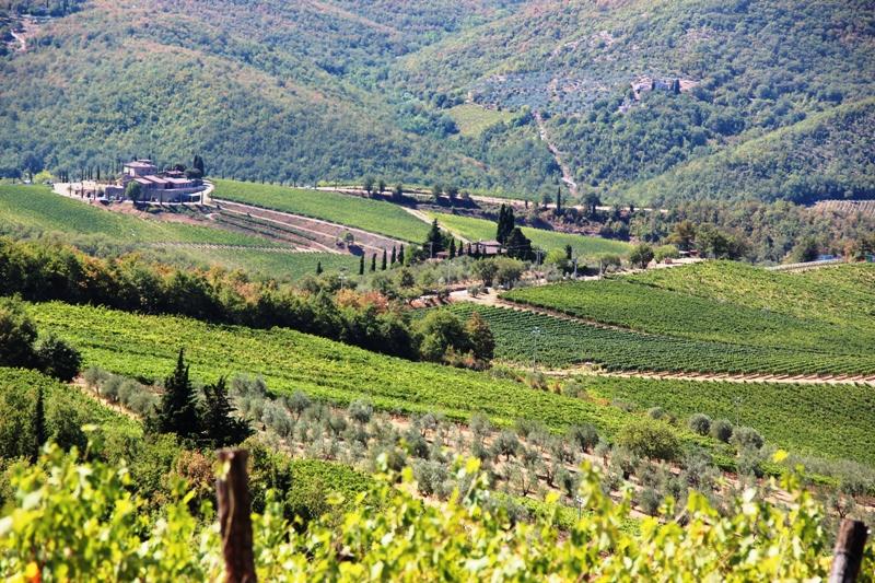 tim hieu nen cong nghiep ruou vang y 2