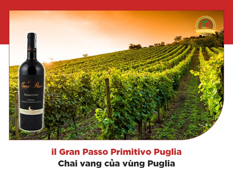 tim hieu nhung vung san xuat ruou vang noi tieng cua italia 2