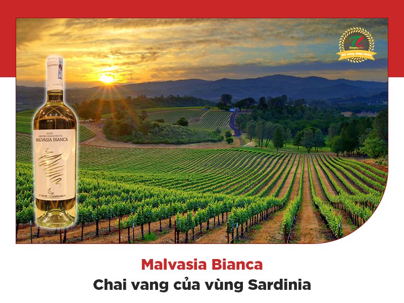 tim hieu nhung vung san xuat ruou vang noi tieng cua italia 3