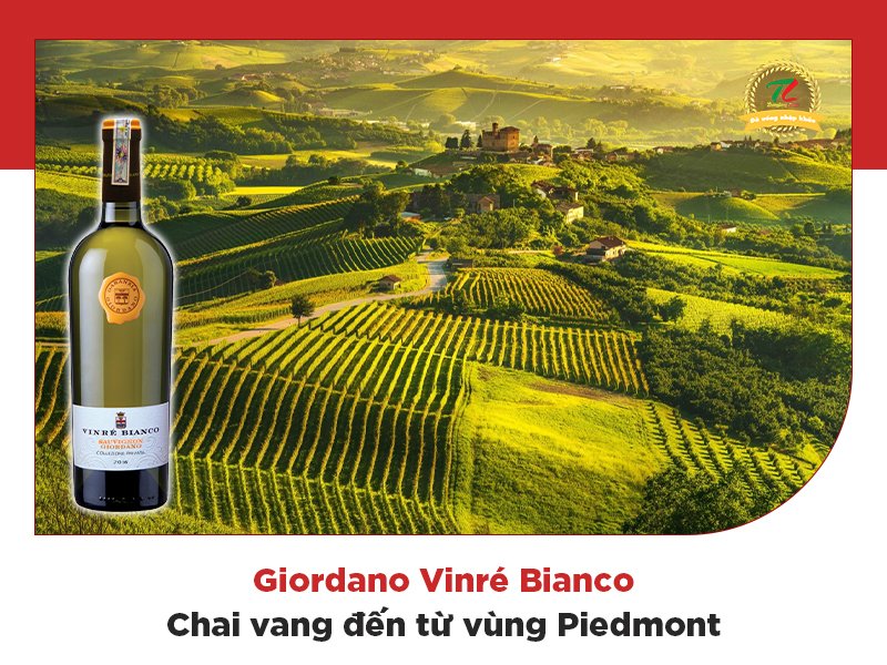 tim hieu nhung vung san xuat ruou vang noi tieng cua italia 4