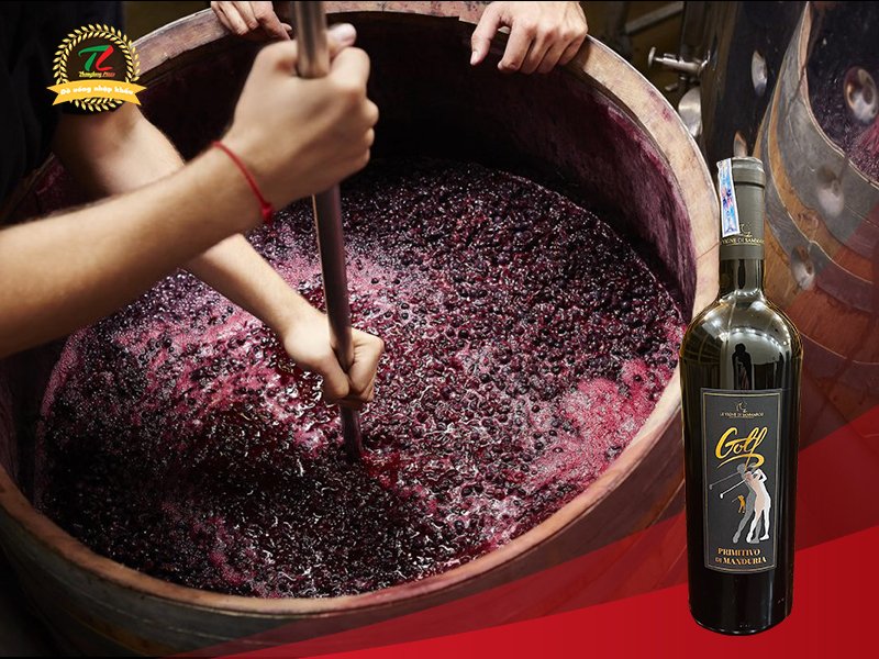 vang y golf primitivo di manduria 1
